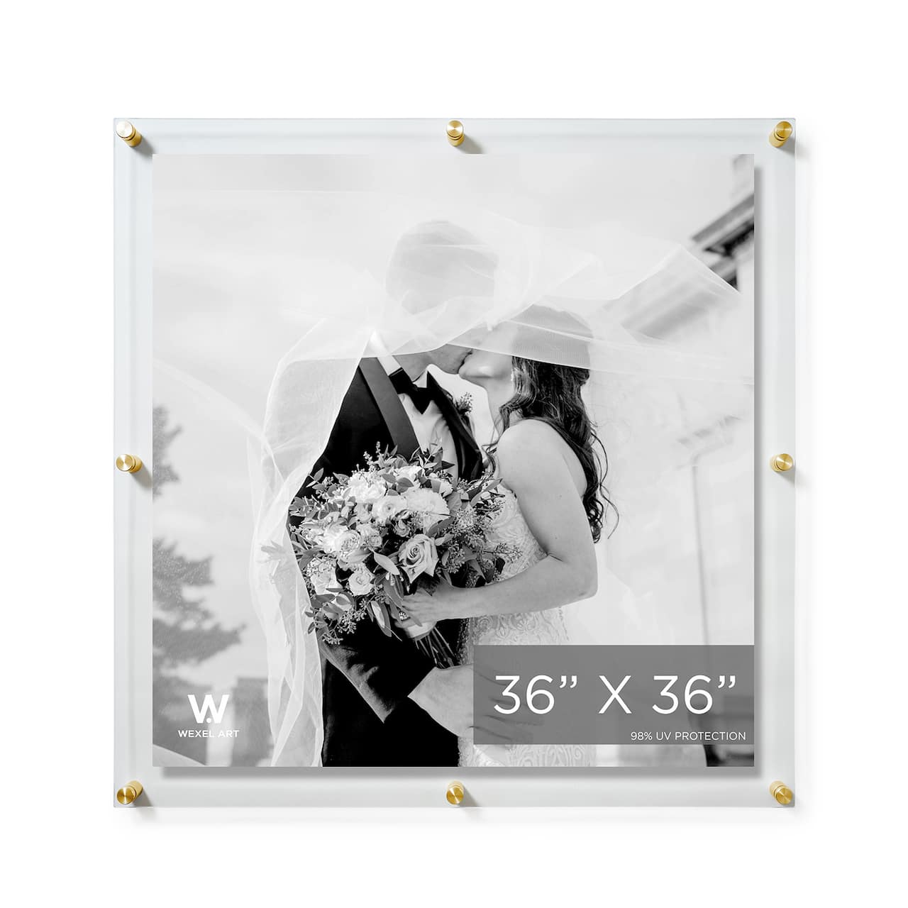 Wexel Art Double Panel Clear Acrylic Floating Wall Frame with Gold Hardware